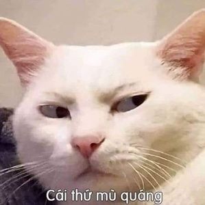 Meet your Posher, Andyy